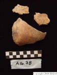 L_V20d5048 A16.78 R827 lR ta cranial areas showing possible burning.JPG L_V20d5048 A16.78 R827 lR ta cranial areas showing possible burning
